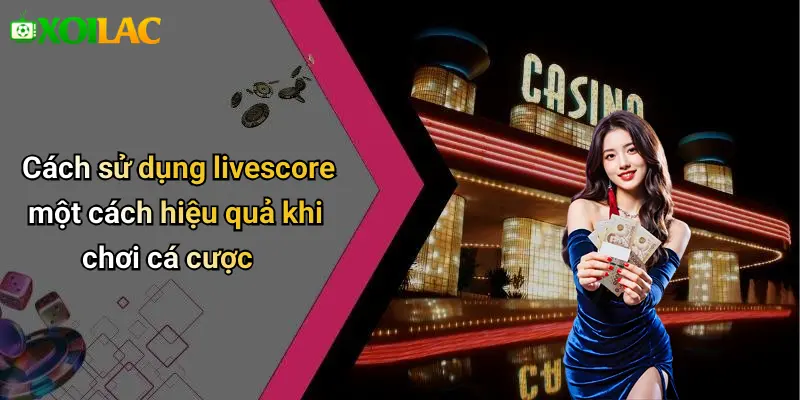 Cách sử dụng livescore một cách hiệu quả khi chơi cá cược