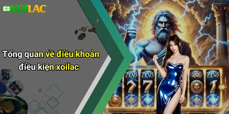 Tổng quan về điều khoản điều kiện xoilac