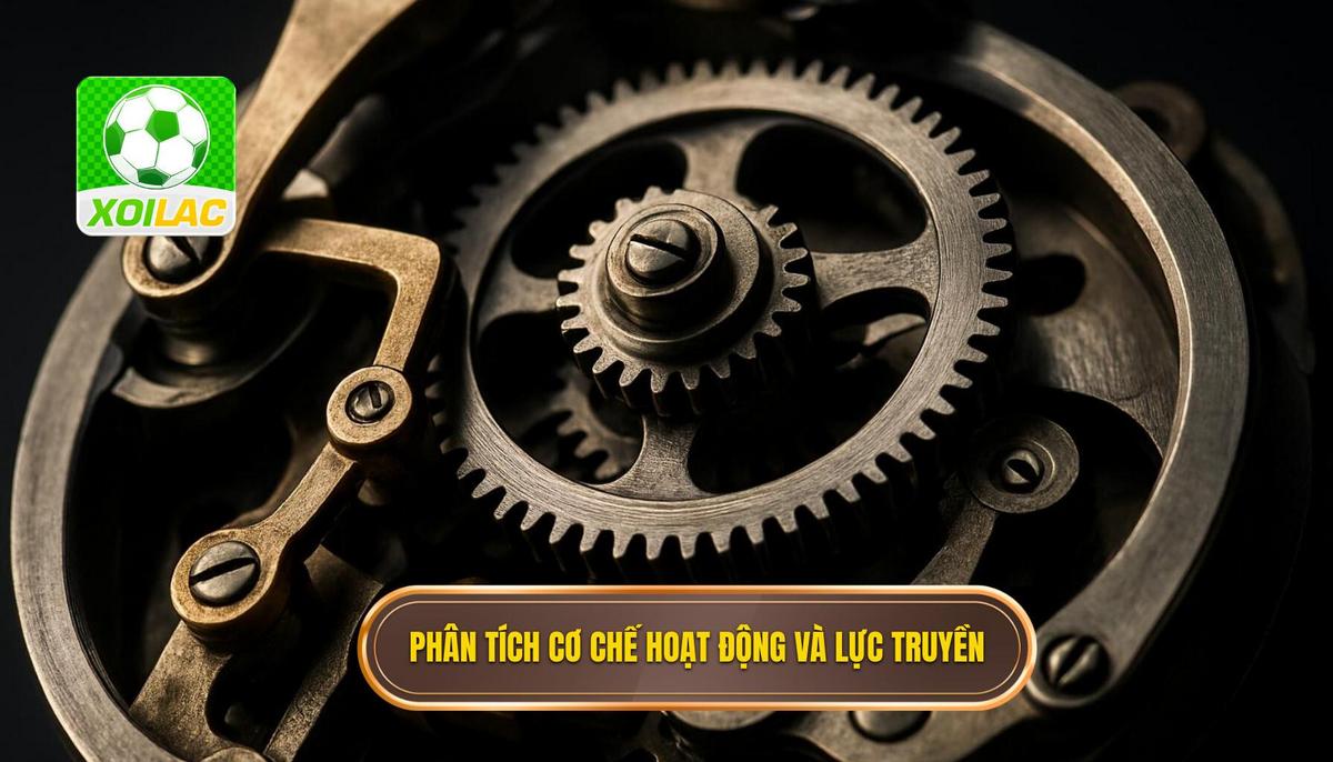 Phân tích chuyên sâu về cơ chế hoạt động và lực truyền