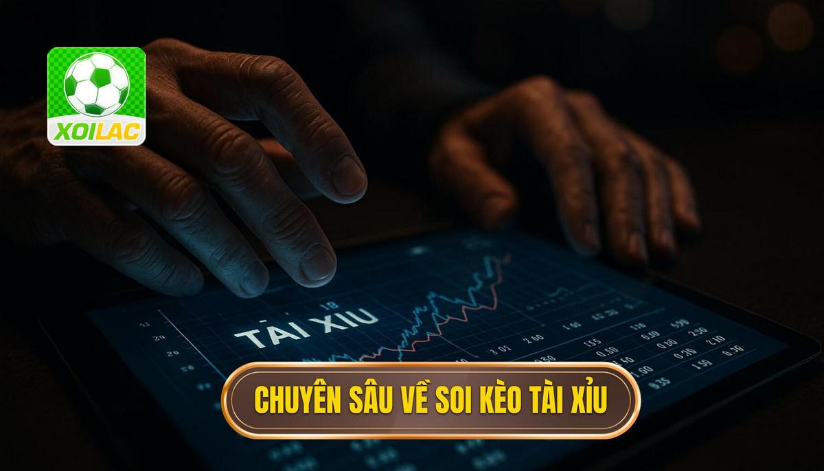 Bản chất chuyên sâu của hình thức soi kèo tài xỉu