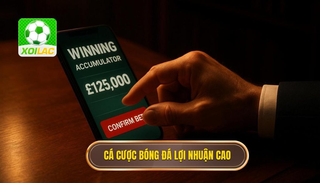 thumb - cá cược bóng đá lợi nhuận cao