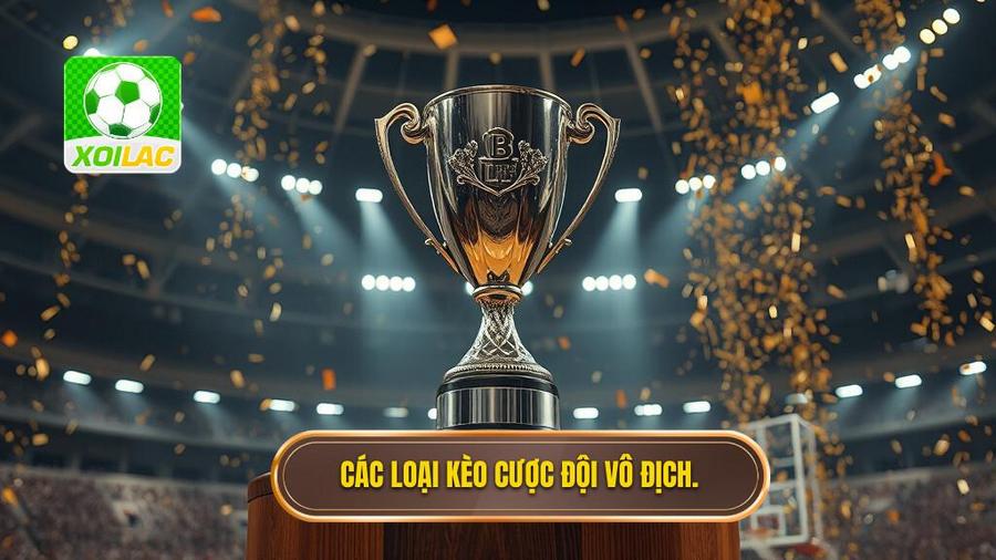 Các loại hình phổ biến của kèo cược đội giành cúp bạc