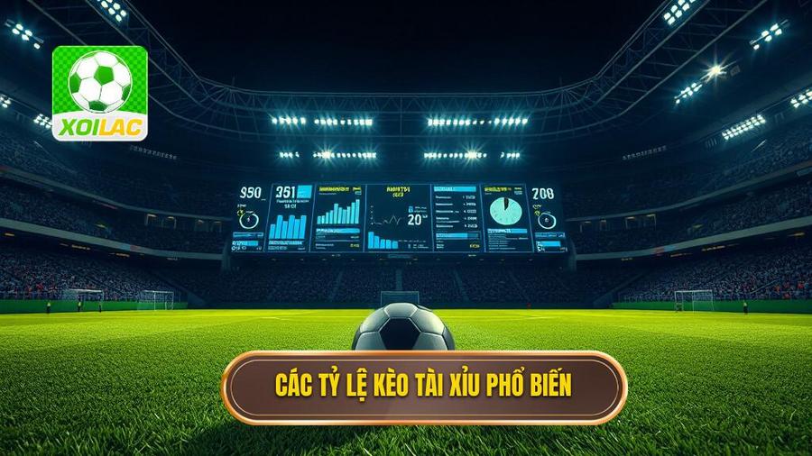 Các tỷ lệ kèo bóng đá tài xỉu phổ biến hiện nay