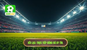 Trận cầu đang đá phút 1–90: Nghệ thuật theo dõi và phân tích bóng đá đỉnh cao